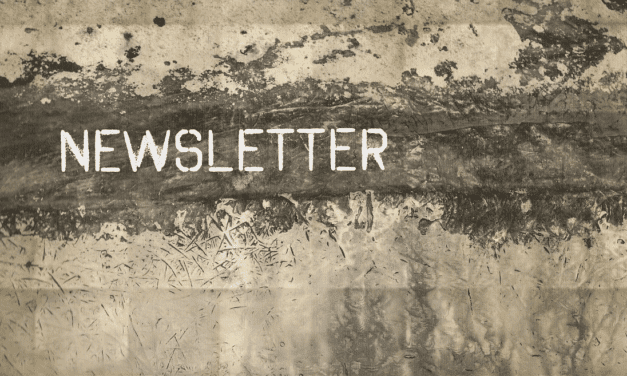 Newsletter #1 – Nov 2023