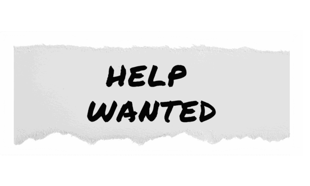 Now Hiring Human AI Pros